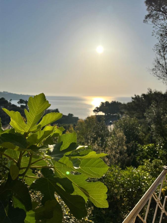 Limonaia In Salento Villa Marittima Eksteriør billede