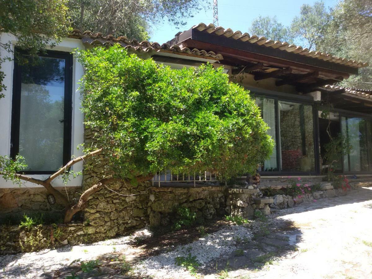 Limonaia In Salento Villa Marittima Eksteriør billede